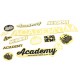 PACK STICKERS ACADEMY BMX