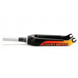 CLIQ CITIZEN CARBON FOURCHE AXE 10